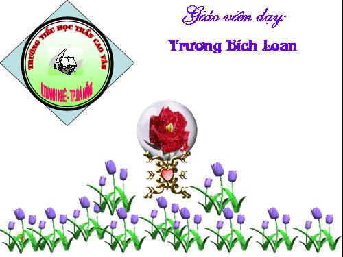 Tuần 7. Người thầy cũ