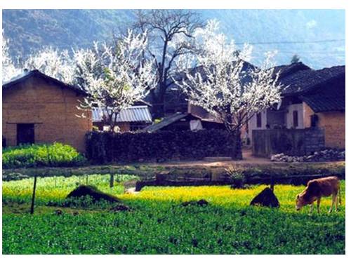 Tuần 34. MRVT: Thiên nhiên. Dấu chấm, dấu phẩy