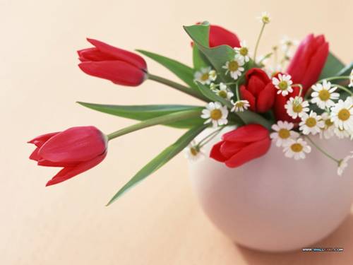 Tuần 12. Ôn tập về từ chỉ hoạt động, trạng thái. So sánh