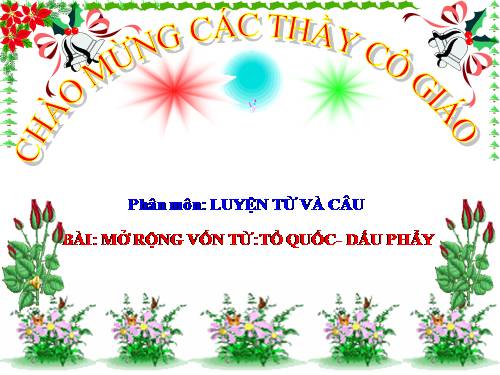 Tuần 20. MRVT: Tổ quốc. Dấu phẩy