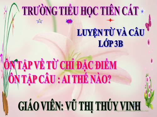 Tuần 14. Ôn tập về từ chỉ đặc điểm. Ôn tập câu Ai thế nào?