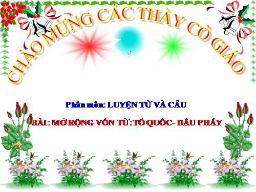 Tuần 20. MRVT: Tổ quốc. Dấu phẩy