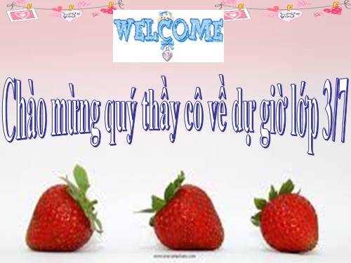 Tuần 26. MRVT: Lễ hội. Dấu phẩy