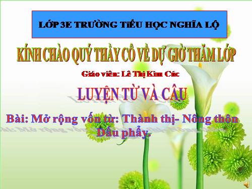 Tuần 16. MRVT: Thành thị - Nông thôn. Dấu phẩy