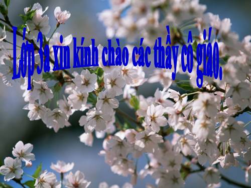 Tuần 5. So sánh