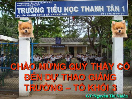 Tuần 13. MRVT: Từ địa phương. Dấu chấm hỏi, chấm than