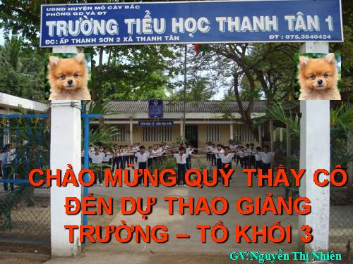 Tuần 13. MRVT: Từ địa phương. Dấu chấm hỏi, chấm than