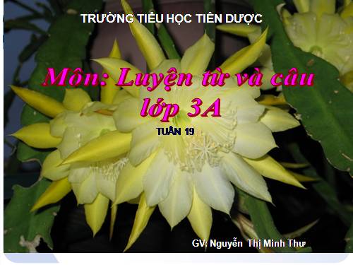 Tuần 19. Nhân hoá. Ôn tập cách đặt và trả lời câu hỏi Khi nào?