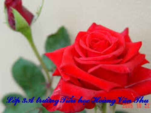 Tuần 29. MRVT: Thể thao. Dấu phẩy