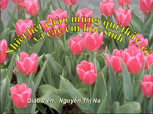 Tuần 23. Nhân hoá. Ôn tập cách đặt và trả lời câu hỏi Như thế nào?