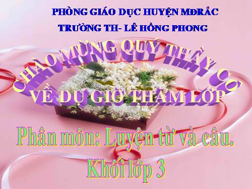 Tuần 13. MRVT: Từ địa phương. Dấu chấm hỏi, chấm than
