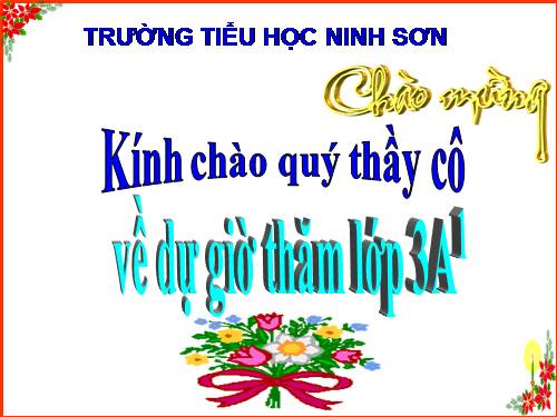 Tuần 19. Nhân hoá. Ôn tập cách đặt và trả lời câu hỏi Khi nào?
