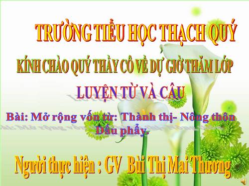 Tuần 16. MRVT: Thành thị - Nông thôn. Dấu phẩy