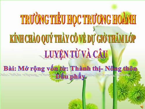Tuần 16. MRVT: Thành thị - Nông thôn. Dấu phẩy