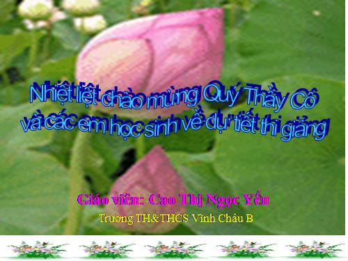 Tuần 26. MRVT: Lễ hội. Dấu phẩy