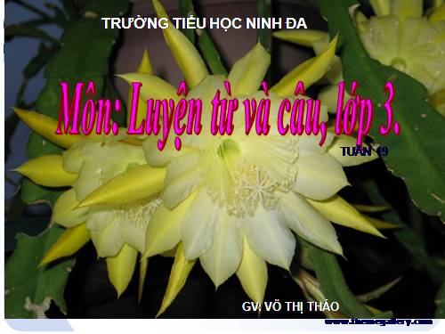 Tuần 19. Nhân hoá. Ôn tập cách đặt và trả lời câu hỏi Khi nào?