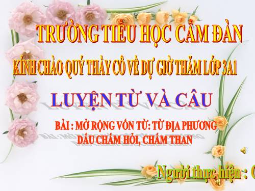Tuần 13. MRVT: Từ địa phương. Dấu chấm hỏi, chấm than