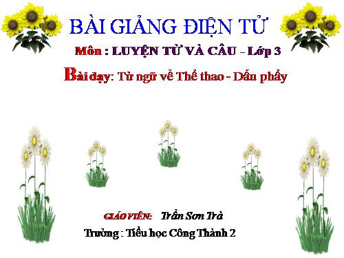 Tuần 29. MRVT: Thể thao. Dấu phẩy