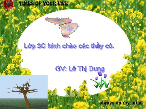 Tuần 28. Nhân hoá. Ôn tập cách đặt và trả lời câu hỏi Để làm gì? Dấu chấm, chấm hỏi, chấm than