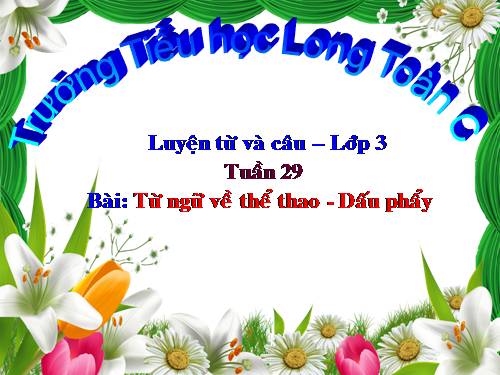 Tuần 29. MRVT: Thể thao. Dấu phẩy