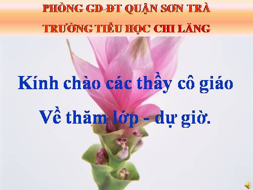 Tuần 31. MRVT: Các nước. Dấu phẩy