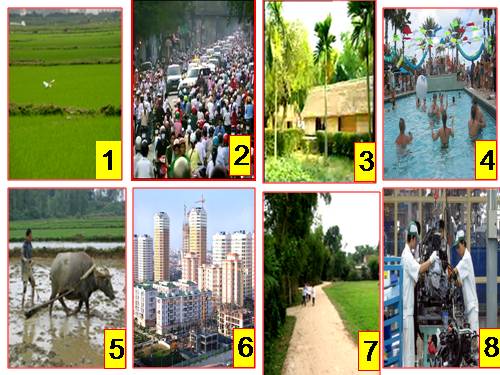 Tuần 16. MRVT: Thành thị - Nông thôn. Dấu phẩy