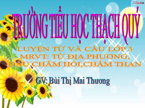 Tuần 13. MRVT: Từ địa phương. Dấu chấm hỏi, chấm than