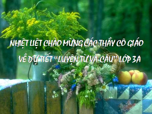 Tuần 14. Ôn tập về từ chỉ đặc điểm. Ôn tập câu Ai thế nào?