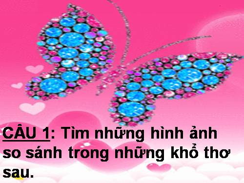 Tuần 5. So sánh