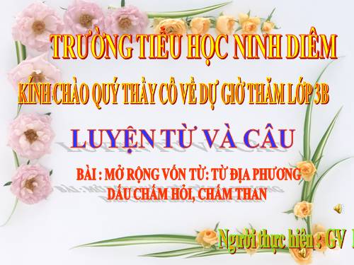Tuần 13. MRVT: Từ địa phương. Dấu chấm hỏi, chấm than