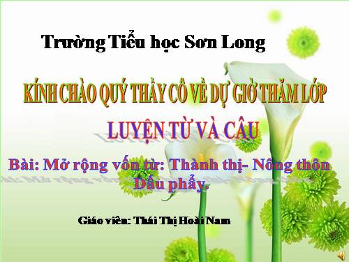 Tuần 16. MRVT: Thành thị - Nông thôn. Dấu phẩy
