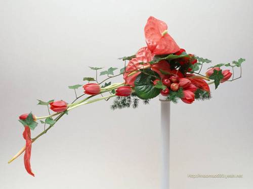 Tuần 12. Ôn tập về từ chỉ hoạt động, trạng thái. So sánh