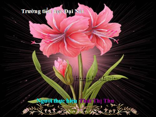 Tuần 14. Ôn tập về từ chỉ đặc điểm. Ôn tập câu Ai thế nào?