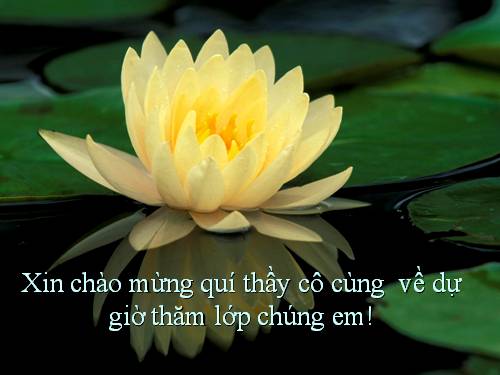 Tuần 8. MRVT: Cộng đồng. Ôn tập câu Ai làm gì?