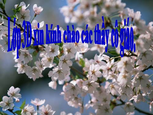 Tuần 5. So sánh