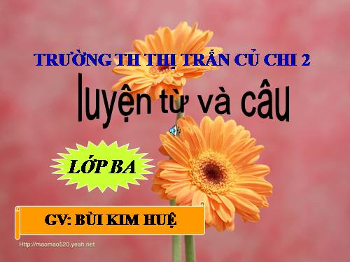 Tuần 13. MRVT: Từ địa phương. Dấu chấm hỏi, chấm than