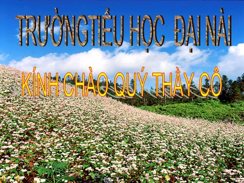 Tuần 29. MRVT: Thể thao. Dấu phẩy