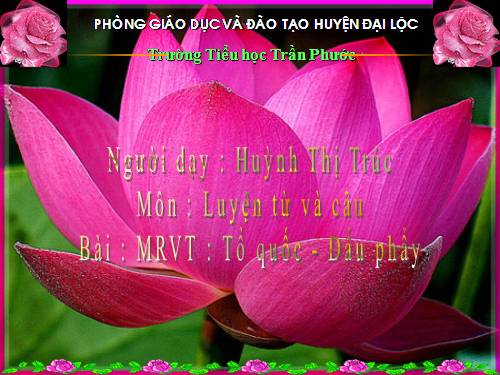 Tuần 20. MRVT: Tổ quốc. Dấu phẩy
