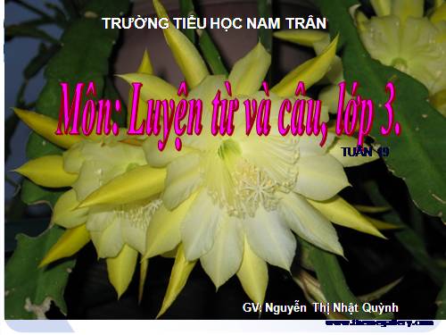 Tuần 19. Nhân hoá. Ôn tập cách đặt và trả lời câu hỏi Khi nào?