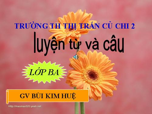 Tuần 13. MRVT: Từ địa phương. Dấu chấm hỏi, chấm than