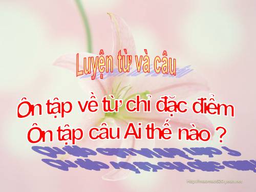 Tuần 14. Ôn tập về từ chỉ đặc điểm. Ôn tập câu Ai thế nào?
