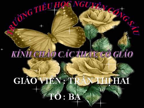 Tuần 16. MRVT: Thành thị - Nông thôn. Dấu phẩy