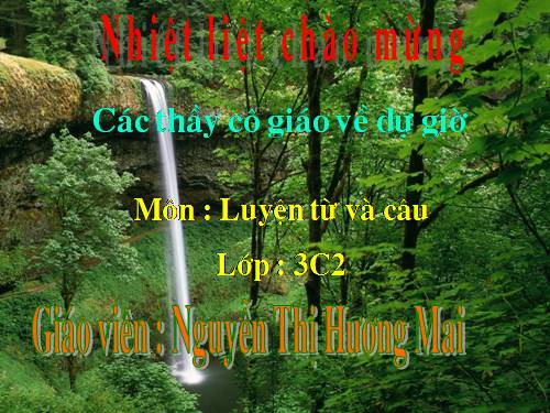 Tuần 13. MRVT: Từ địa phương. Dấu chấm hỏi, chấm than