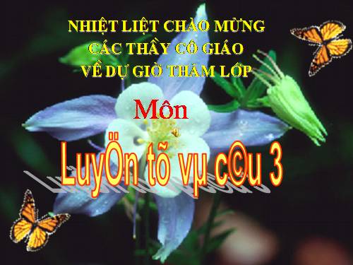 Tuần 13. MRVT: Từ địa phương. Dấu chấm hỏi, chấm than