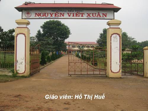 Tuần 13. MRVT: Từ địa phương. Dấu chấm hỏi, chấm than