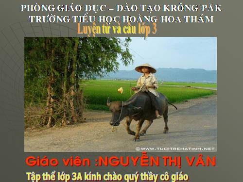 Tuần 5. So sánh