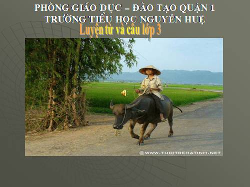 Tuần 5. So sánh