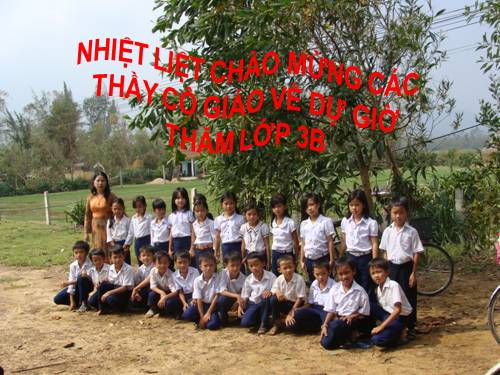 Tuần 7. Ôn tập về từ chỉ hoạt động, trạng thái. So sánh
