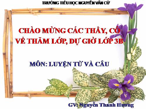 Tuần 13. MRVT: Từ địa phương. Dấu chấm hỏi, chấm than