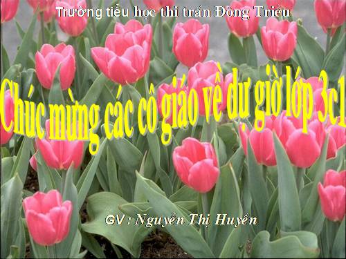 Tuần 23. Nhân hoá. Ôn tập cách đặt và trả lời câu hỏi Như thế nào?